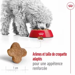ROYAL CANIN Croquette pour chien mature de petite taille - 4 kg