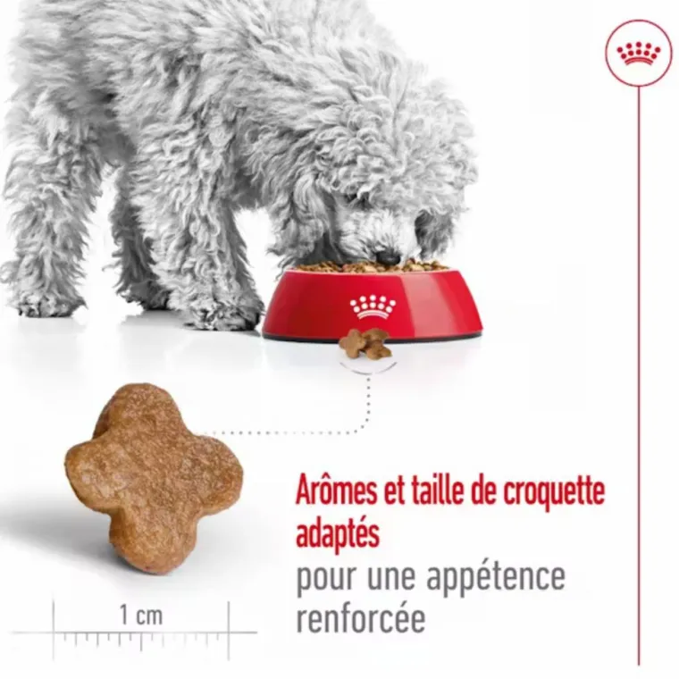 ROYAL CANIN Croquette pour chien mature de petite taille - 4 kg