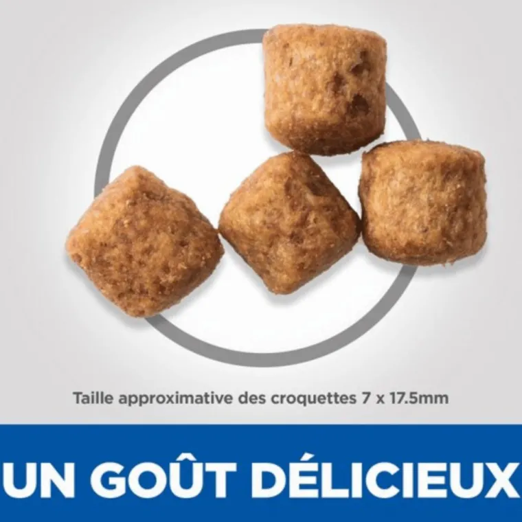HILL'S Croquette pour chien mature grande race au poulet - 12 kg