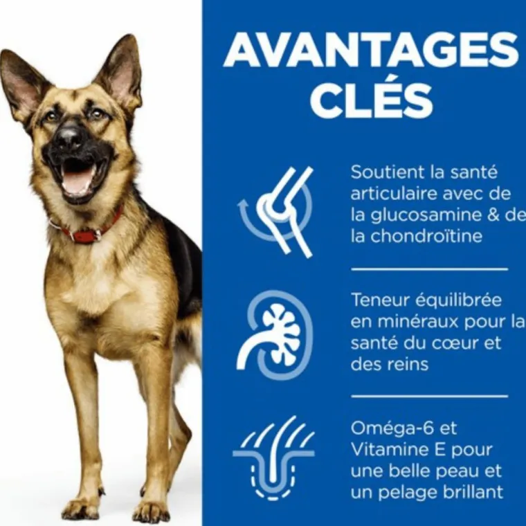 HILL'S Croquette pour chien mature grande race au poulet - 12 kg