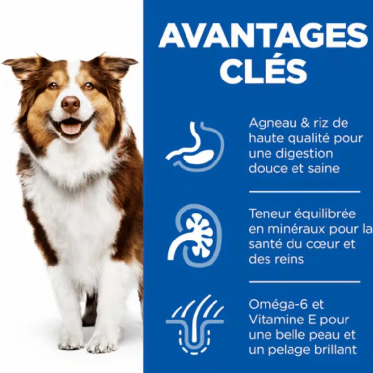 HILL'S Croquette pour chien mature au poulet -12 kg