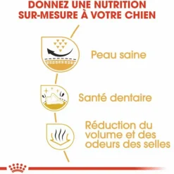 ROYAL CANIN Croquette pour chien Shih Tzu - 3 kg