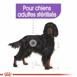 ROYAL CANIN Croquette pour chien stérilisé de grande taille - 12 kg