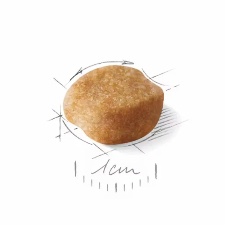 ROYAL CANIN Croquette pour chien Yorkshire - 3 kg