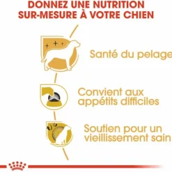 ROYAL CANIN Croquette pour chien Yorkshire - 3 kg