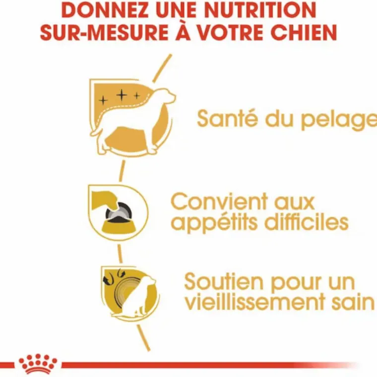 ROYAL CANIN Croquette pour chien Yorkshire - 3 kg