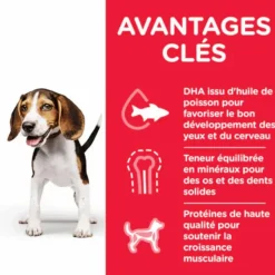HILL'S Croquette pour chiot de taille moyenne au poulet - 2,5 kg