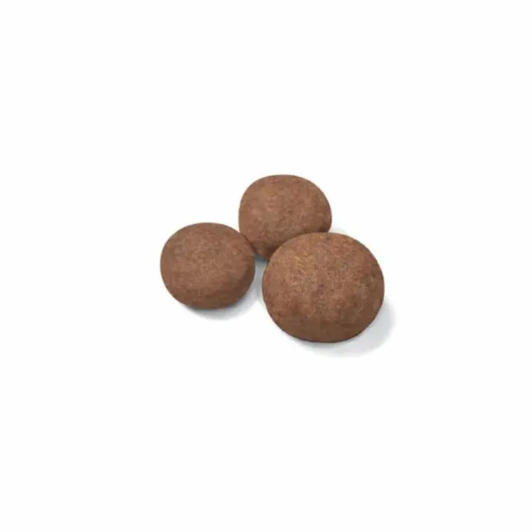 ROYAL CANIN Croquette pour chiot de taille moyenne - 15 kg