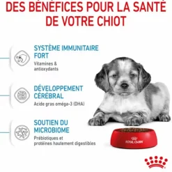 ROYAL CANIN Croquette pour chiot de taille moyenne - 15 kg