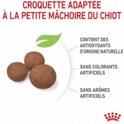ROYAL CANIN Croquette pour chiot de taille moyenne - 15 kg