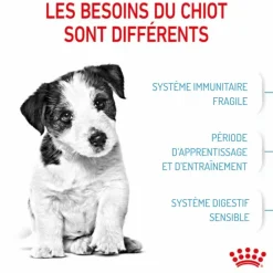 ROYAL CANIN Croquette pour chiot - 8 kg