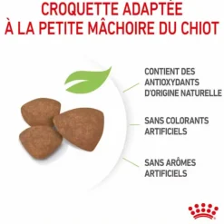 ROYAL CANIN Croquette pour chiot - 8 kg