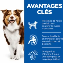 SCIENCE PLAN Croquettes pour chien mature medium poulet Hill's - 18 kg