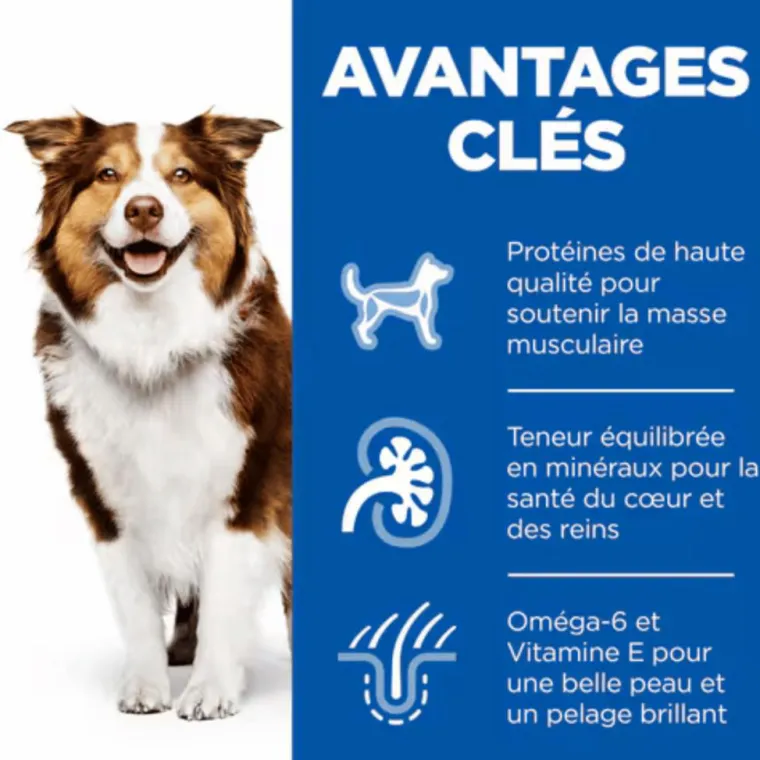 SCIENCE PLAN Croquettes pour chien mature medium poulet Hill's - 18 kg