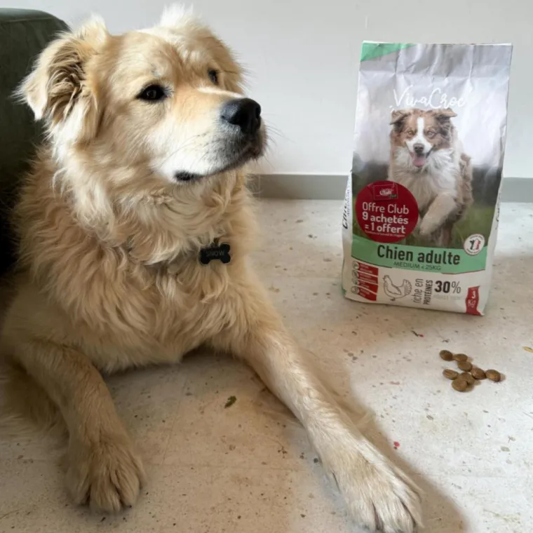 VIVACROC Croquettes pour chien medium adulte au poulet – 3 kg