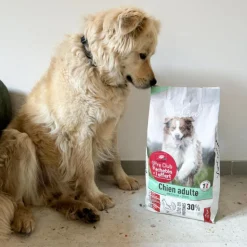 VIVACROC Croquettes pour chien medium adulte au poulet – 3 kg