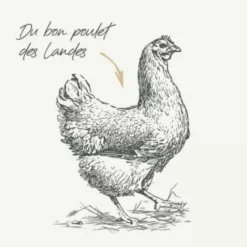 BAB'IN Croquettes pour chien mini adulte au poulet sans céréales Signature - 2 kg