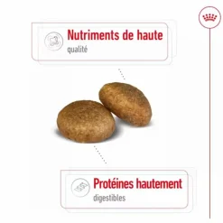 ROYAL CANIN Croquettes pour chien Maxi adulte de + de 15 mois - Le sac de 15 kg