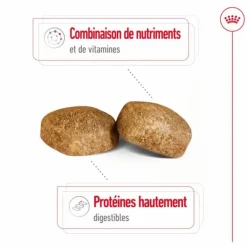ROYAL CANIN Croquettes pour chien Giant adulte de + de 45 kg - Le sac de 15 kg
