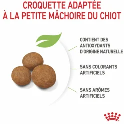 ROYAL CANIN Croquettes pour chiot Giant - 15 kg