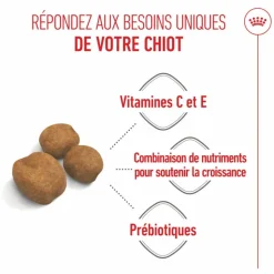 ROYAL CANIN Croquettes pour chiot Giant - 15 kg
