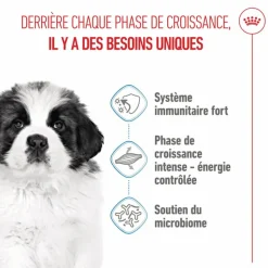 ROYAL CANIN Croquettes pour chiot Giant - 15 kg