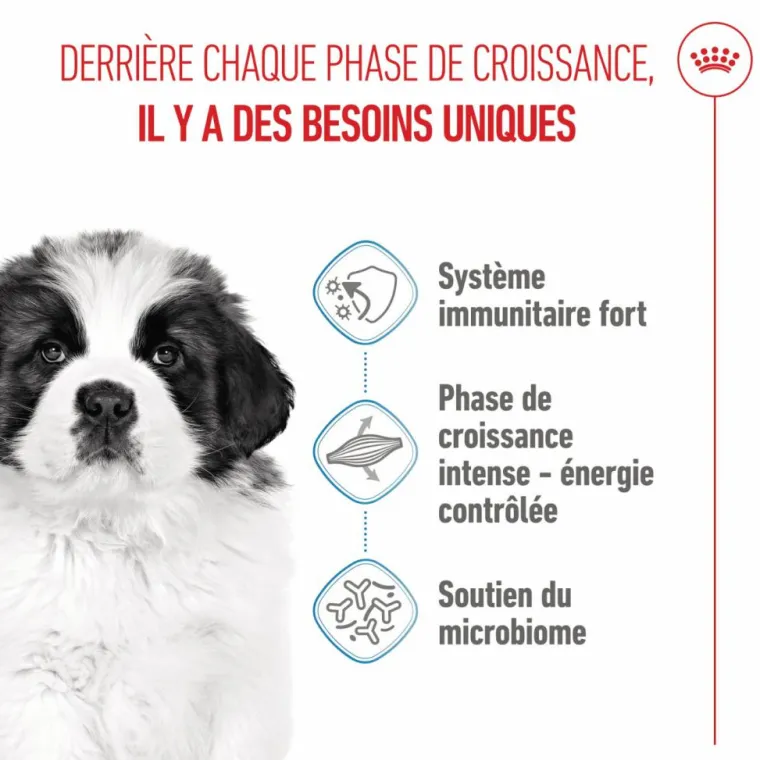 ROYAL CANIN Croquettes pour chiot Giant - 15 kg