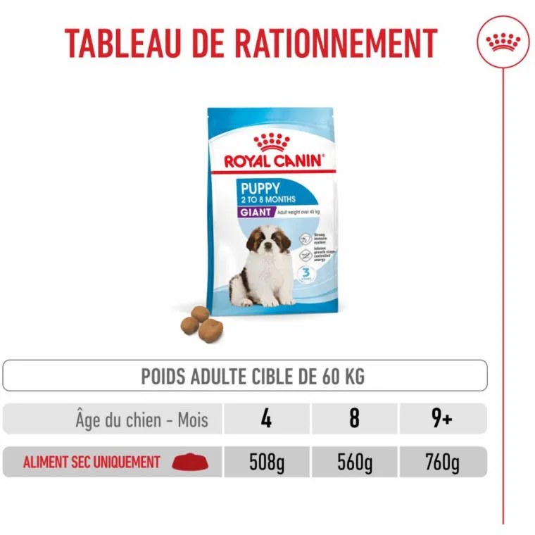 ROYAL CANIN Croquettes pour chiot Giant - 15 kg