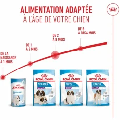 ROYAL CANIN Croquettes pour chiot Giant - 15 kg