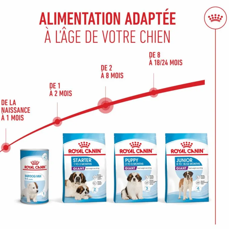 ROYAL CANIN Croquettes pour chiot Giant - 15 kg