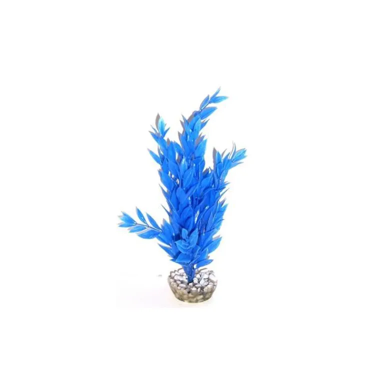 LABEO Cycared bleu en plastique 28 cm