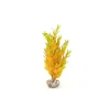LABEO Cycared jaune en plastique 28 cm