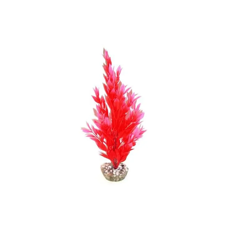 LABEO Cycared rose en plastique 28 cm