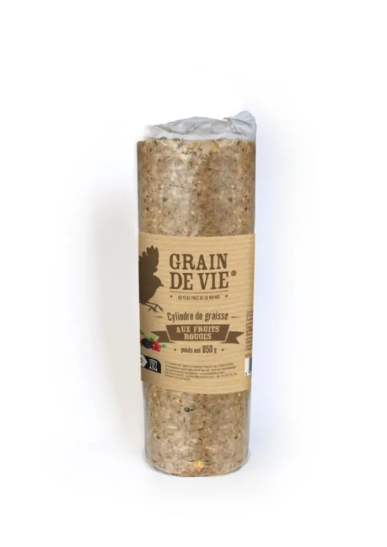 GRAIN DE VIE Cylindre de graisse pour oiseaux du ciel aux fruits rouges - 850 g