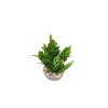 LABEO Décor hop vert en plastique 9 cm