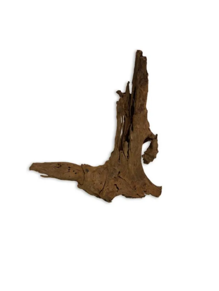 AQUAVIE Décor pour aquarium coloris marron racine Malaisie - Taille S