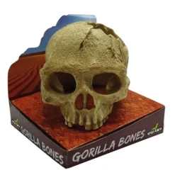 REPTILE PLANET Décor pour terrarium en résine coloris beige tête de gorille Gorilla Bones