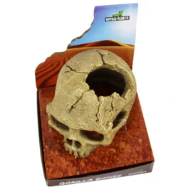 REPTILE PLANET Décor pour terrarium en résine coloris beige tête de gorille Gorilla Bones