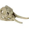 REPTILE PLANET Décor pour vivarium en résine coloris blanc crâne de dinosaure Dinosaurus Skull - 22 x 11 x 12,5 cm