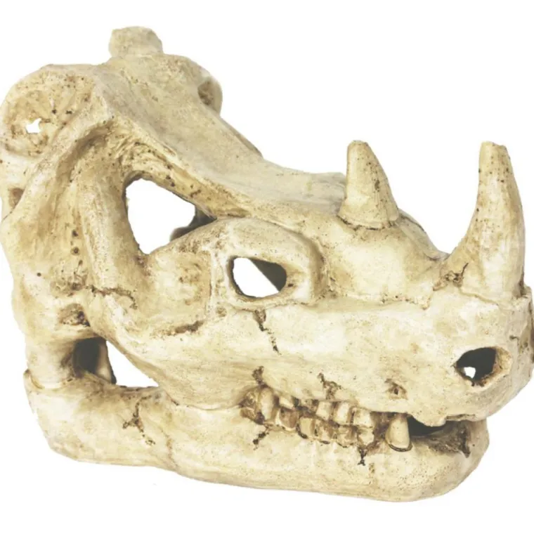 REPTILE PLANET Décor pour vivarium en résine coloris beige Rhinocéros Skull - 16 x 10 x 12 cm