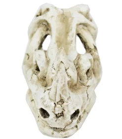 REPTILE PLANET Décor pour vivarium en résine coloris beige Rhinocéros Skull - 16 x 10 x 12 cm