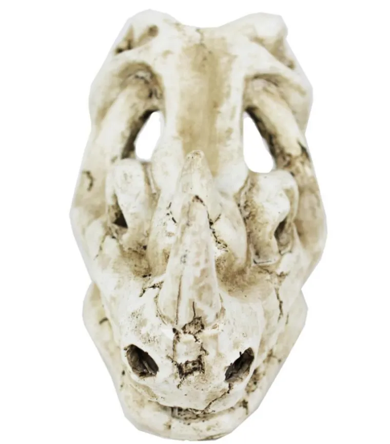 REPTILE PLANET Décor pour vivarium en résine coloris beige Rhinocéros Skull - 16 x 10 x 12 cm