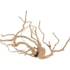 ZOLUX Décoration naturelle pour aquarium et terrarium coloris marron racine araignée – 60 cm et plus
