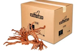 REPTILE PLANET Décoration pour aquarium en bois racine araignée Reptiles Planet - Taille L (36 à 45 cm)