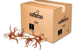REPTILE PLANET Décoration pour aquarium en bois racine araignée Reptiles Planet - Taille S (15 à 25 cm)