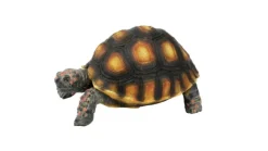 TERRATLANTIS Décoration pour terrarium coloris marron en résine figurine tortue tigrée - 10 x 6,5 x 5 cm