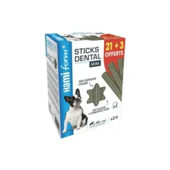 HAMIFORM Dental mini. La boite de 21+3