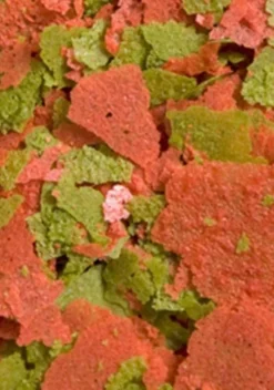 BLUE CORAL Discus Flakes - OCEAN NUTRITION - 70g