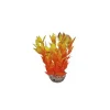 LABEO Dracaena orange en plastique 13 cm