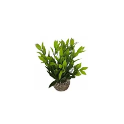 LABEO Dracaena vert en plastique 13 cm